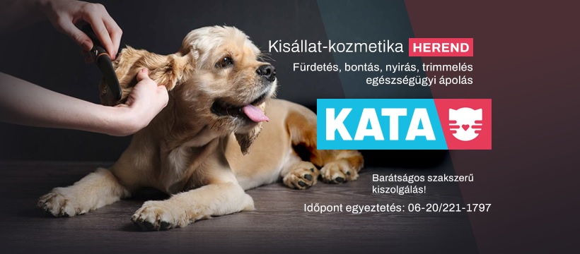 Kata kutyakozmetika