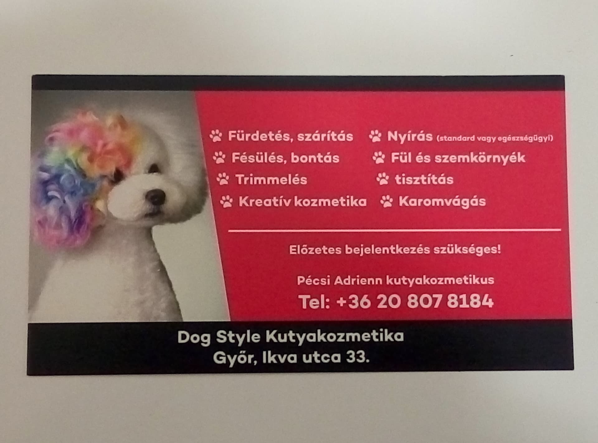 Dog Style Kutyakozmetika