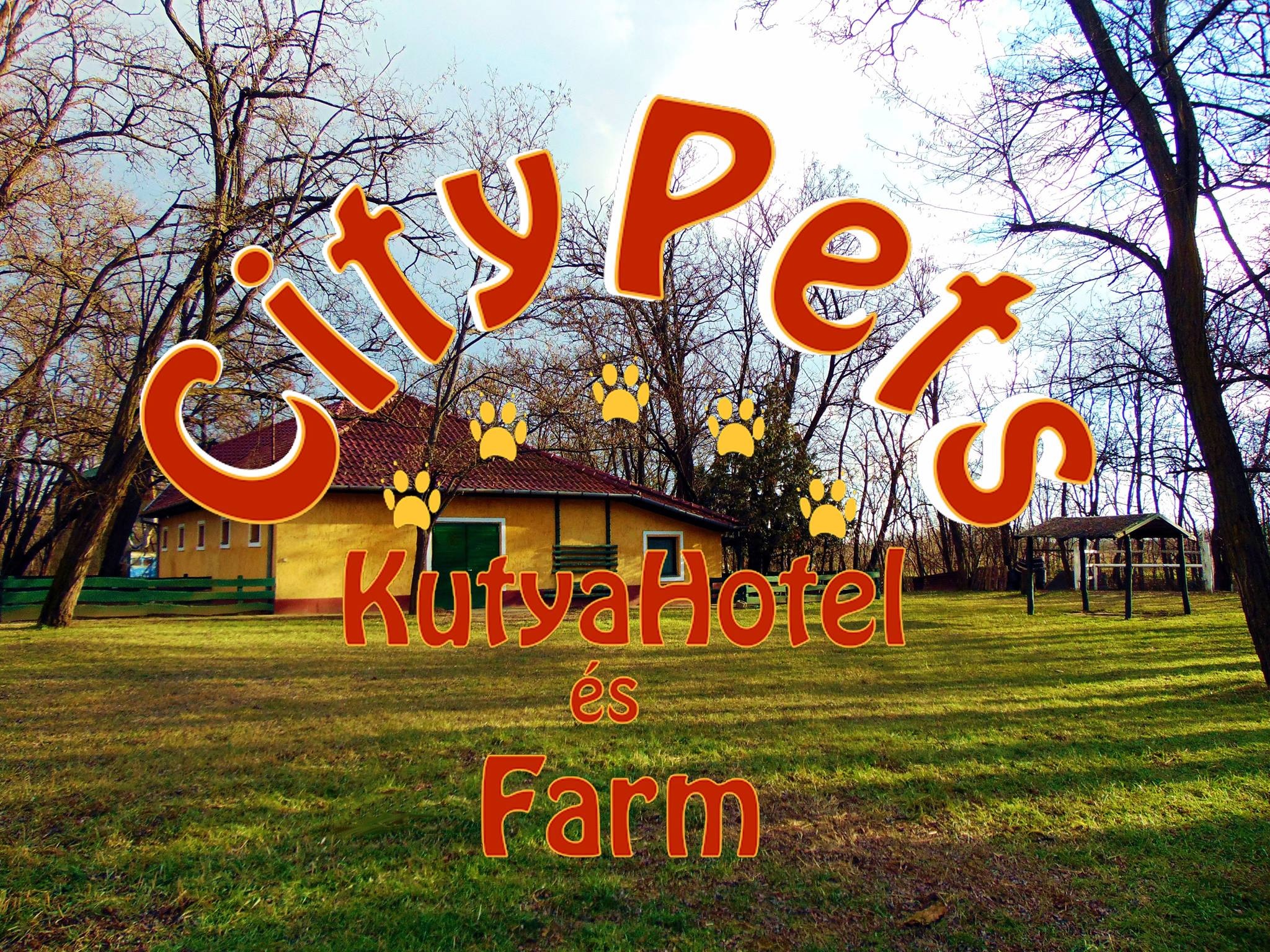 CityPets Kutyapanzió