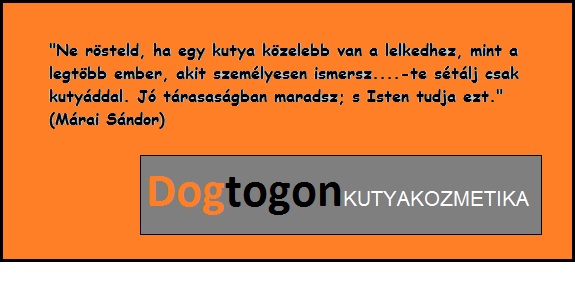 Dogtogon Kutya-Cica Kozmetika