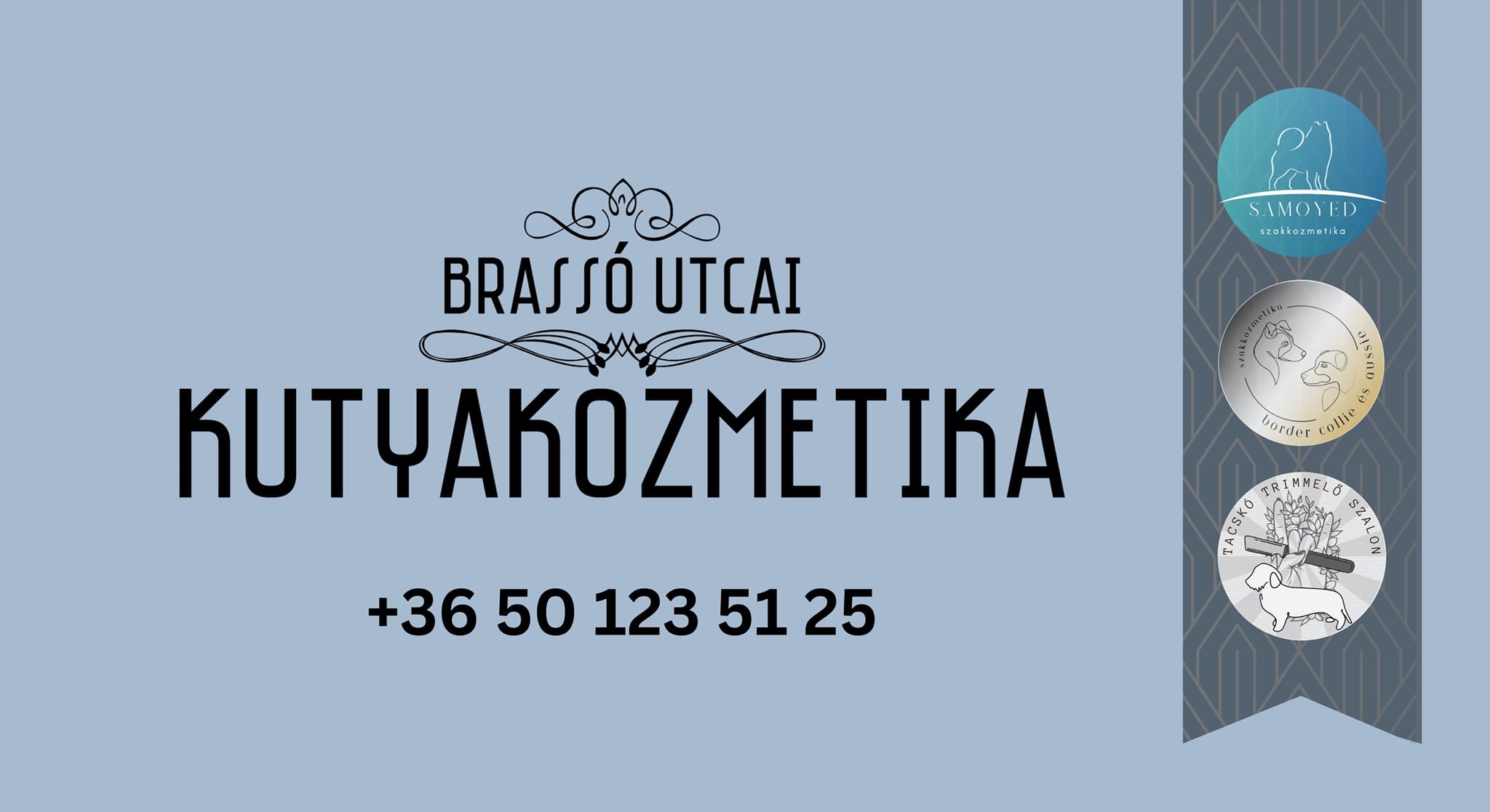 Brassó utcai kutyakozmetika