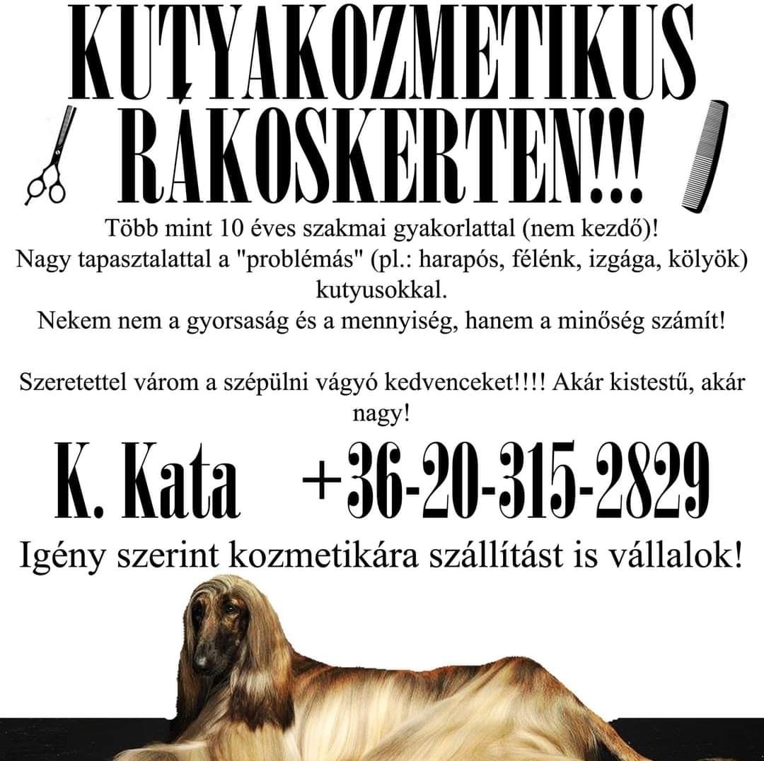 Kutyakozmetikus Rákoskerten