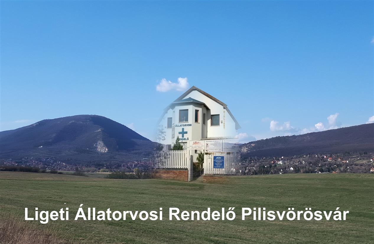 Ligeti Állatorvosi Rendelő