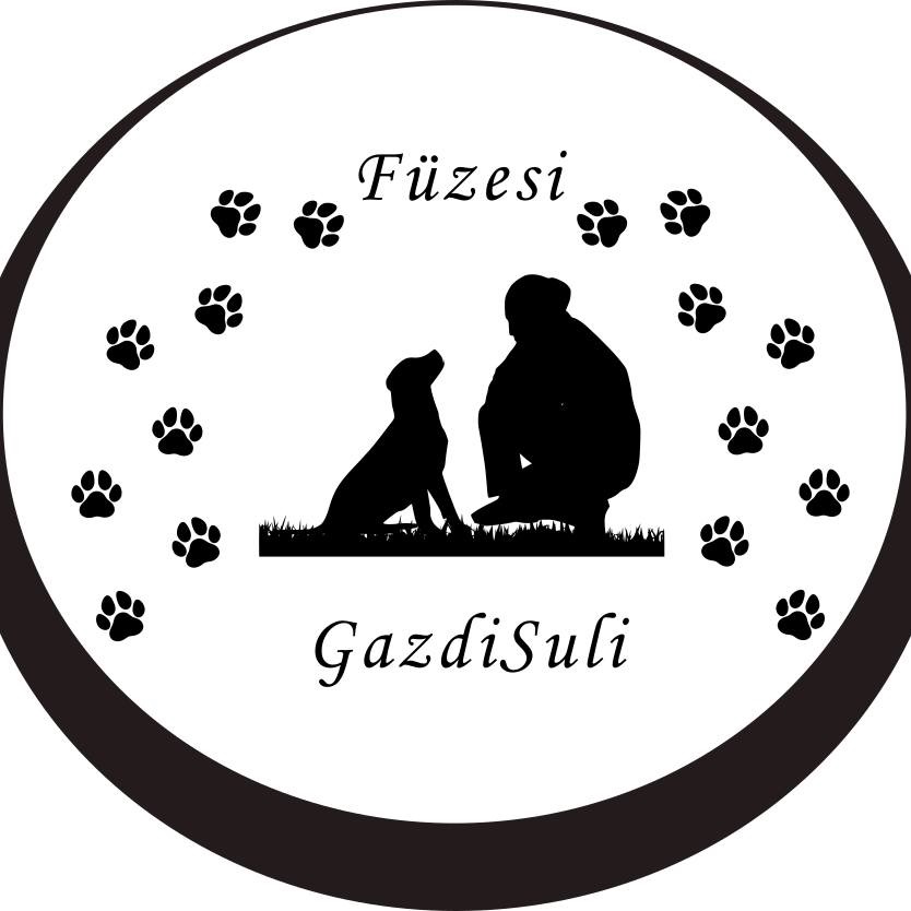 Füzesi GazdiSuli