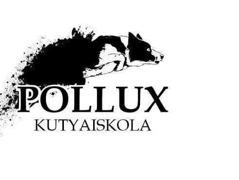 Pollux Kutyaiskola