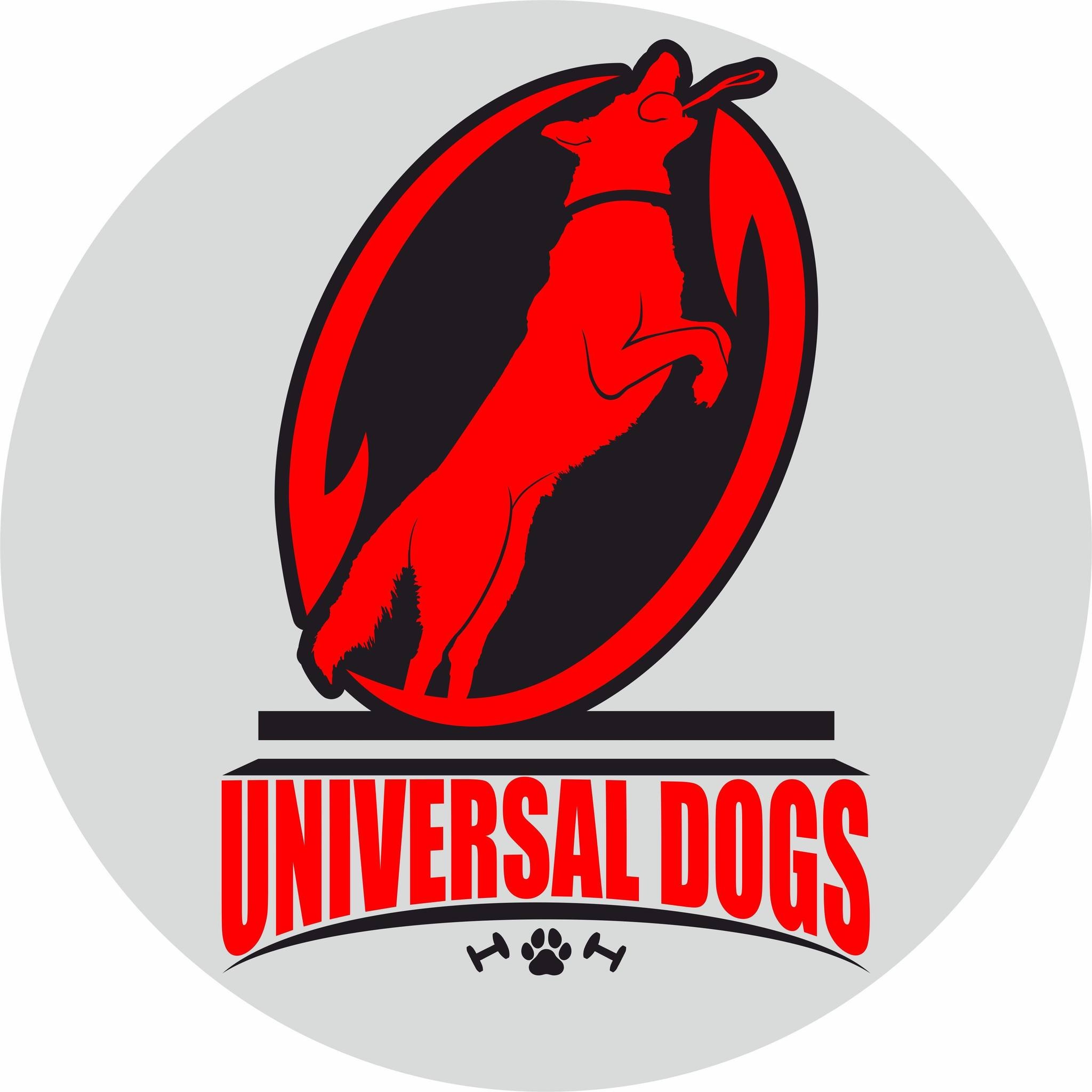 Universal Dogs kutyaiskola