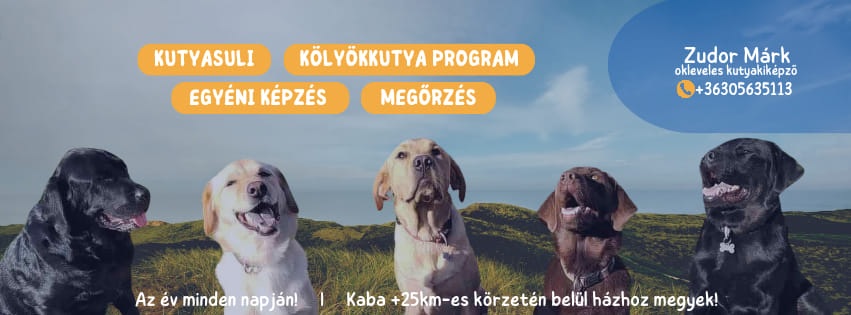 GDS Kutyakiképzés