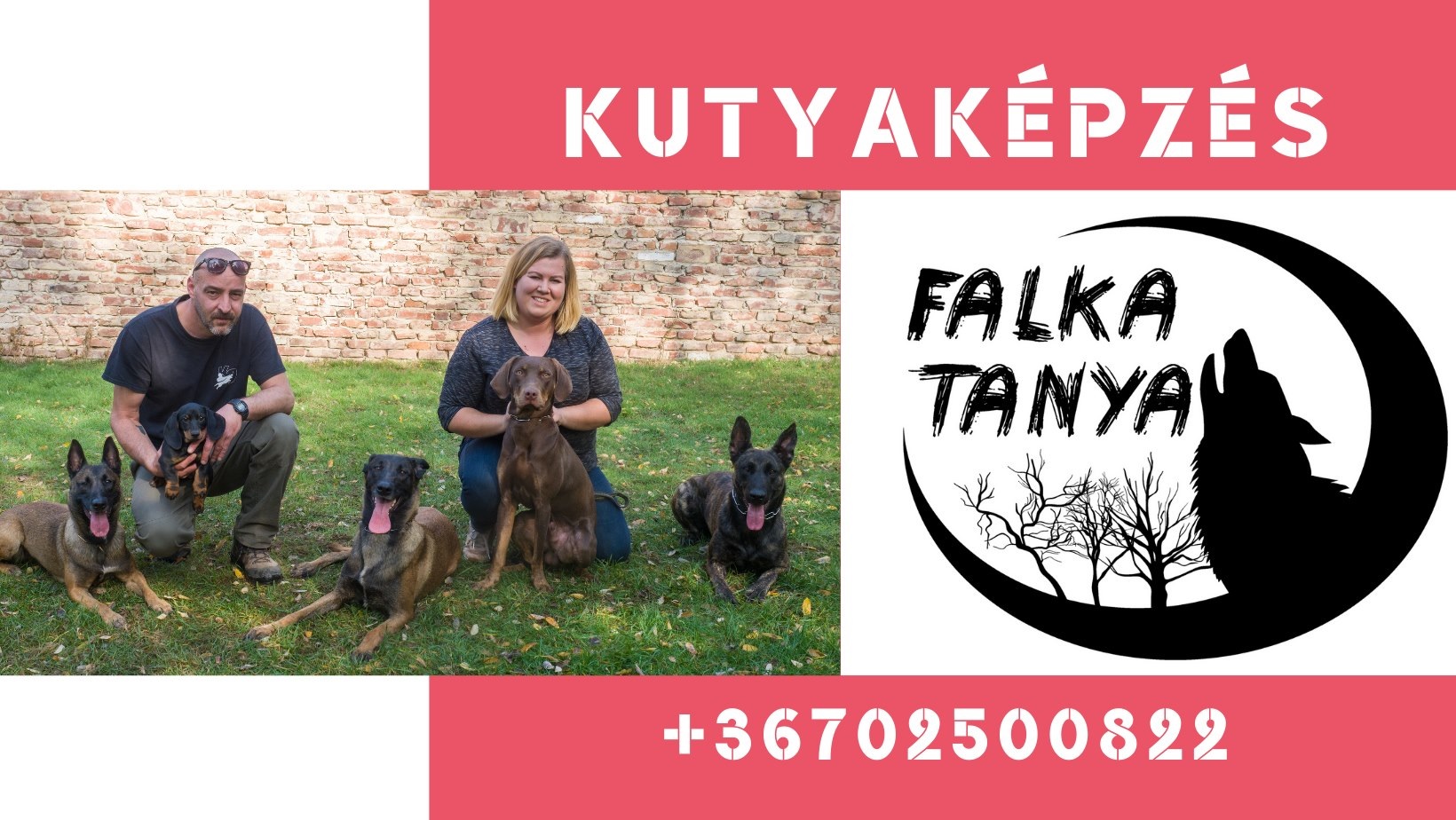 Falka Tanya