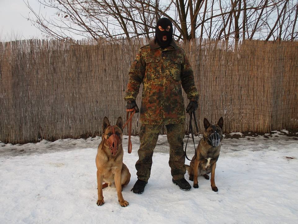 K-9 Testőr Kutyaiskola Kft.