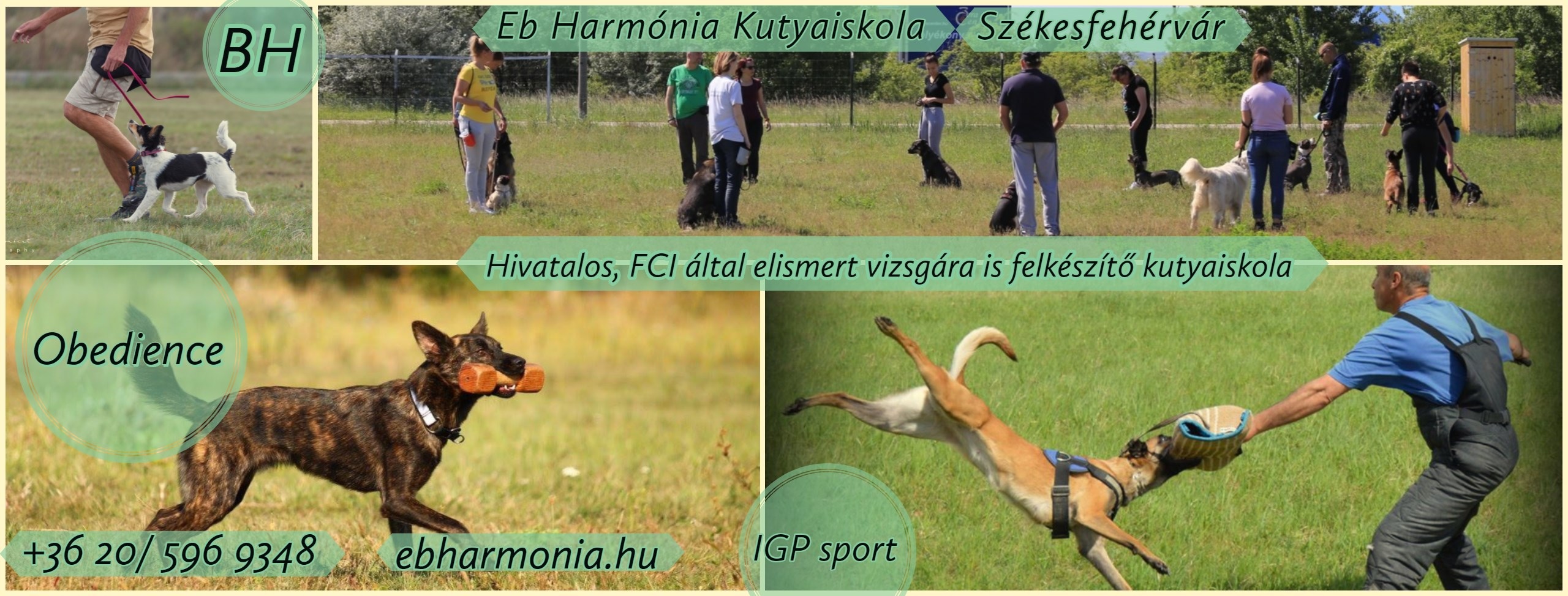 Eb Harmónia Kutyaiskola