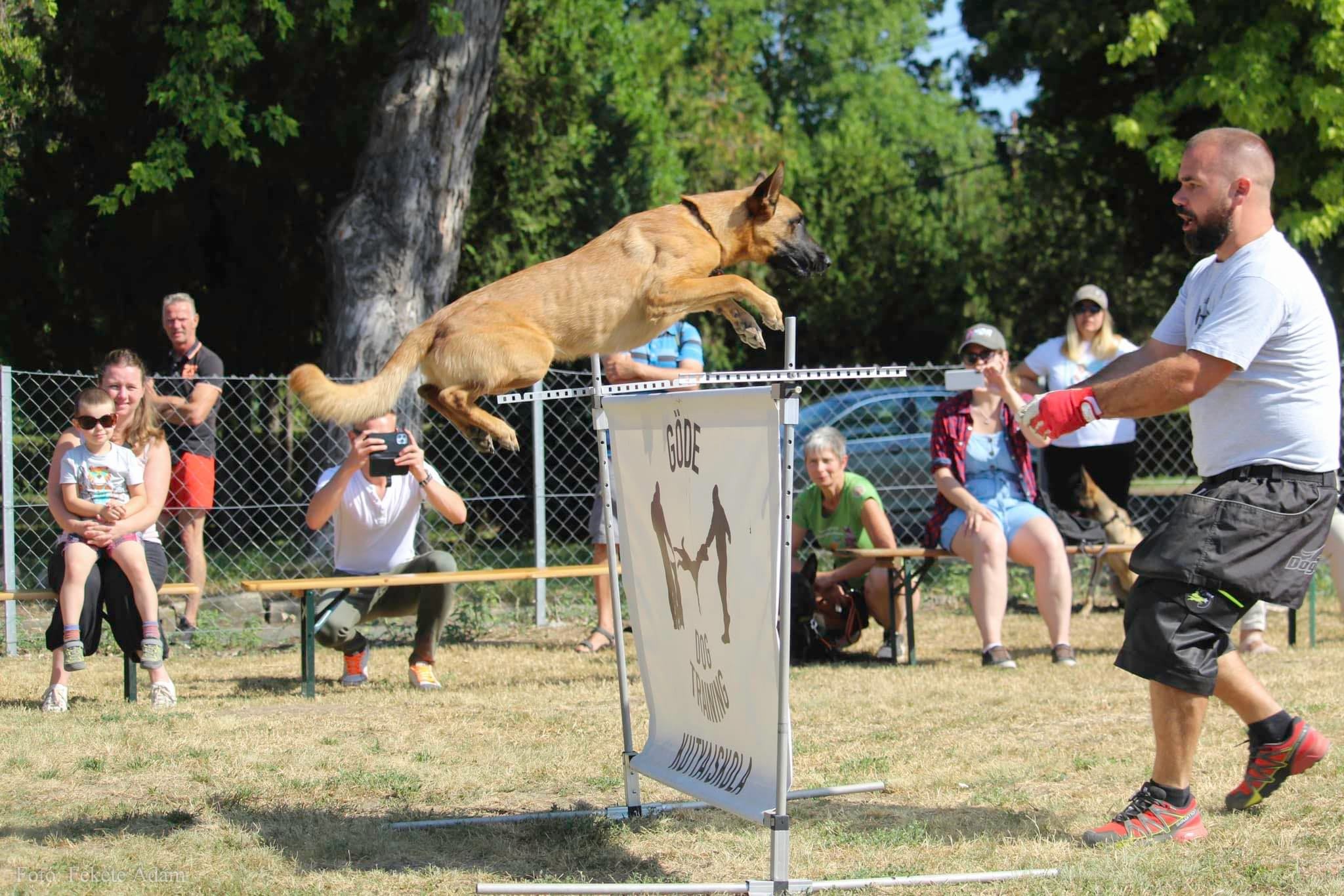 Göde Dog Training Kutyaiskola