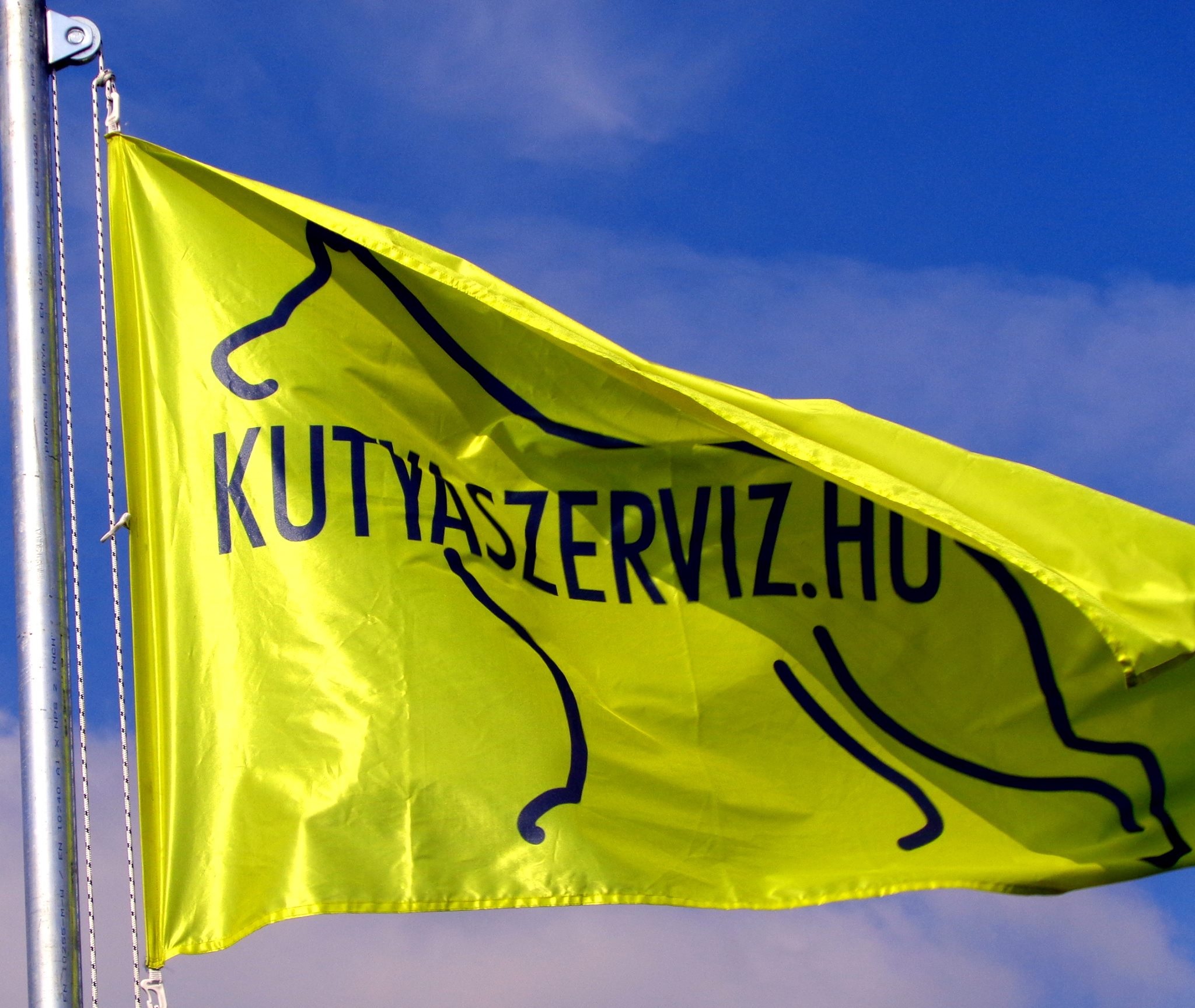 Kutyaszerviz