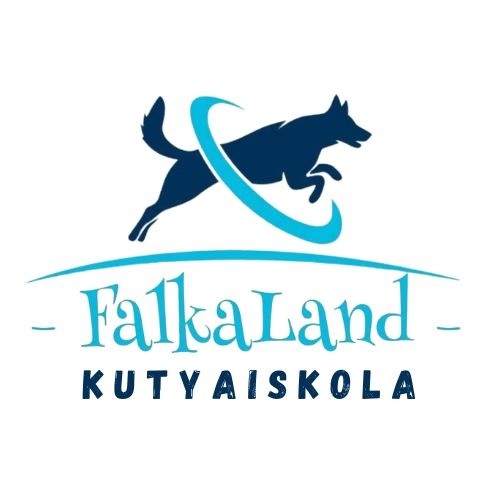 FalkaLand Kutyaiskola