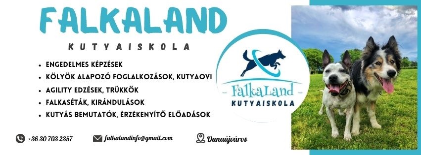 FalkaLand Kutyaiskola