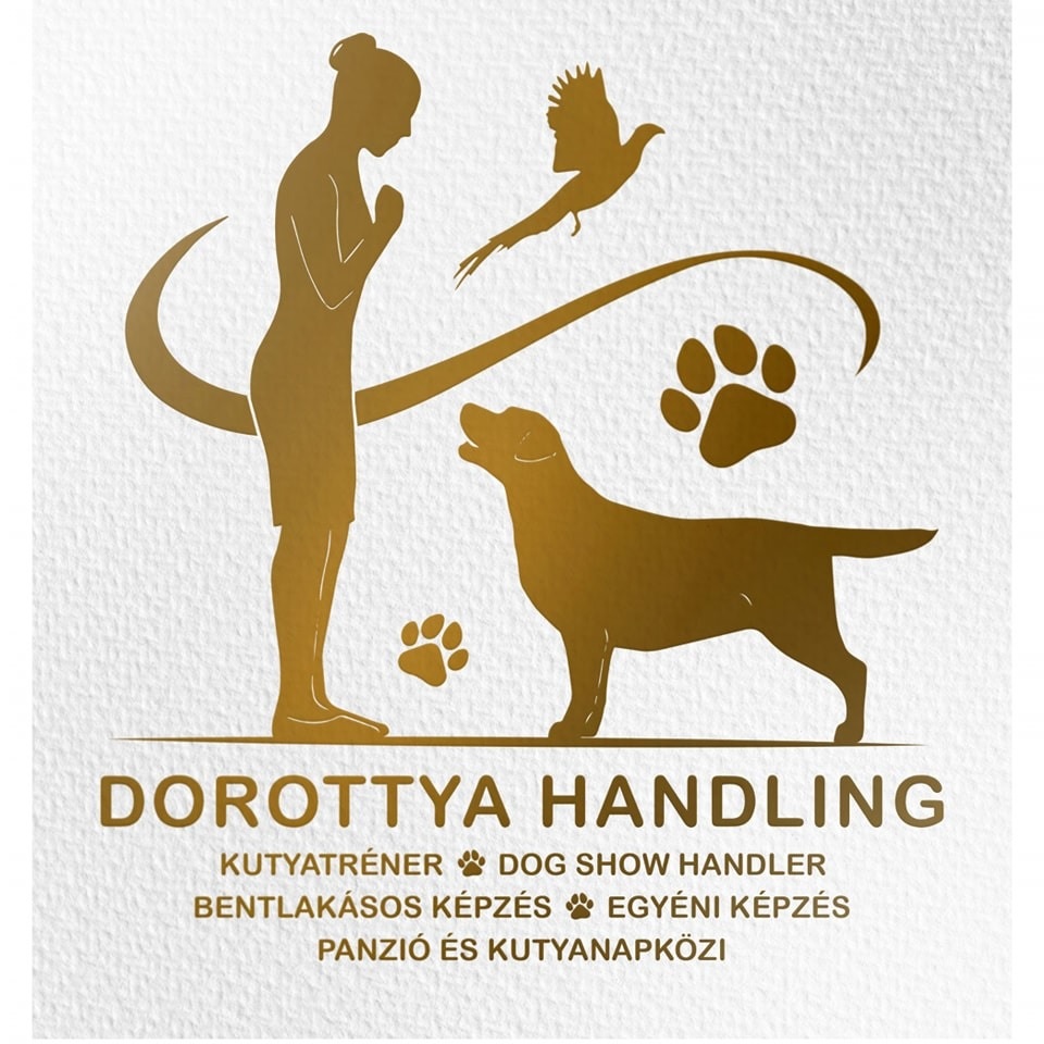 Dorottya Handling - Kovács Dorottya Kutyatréner