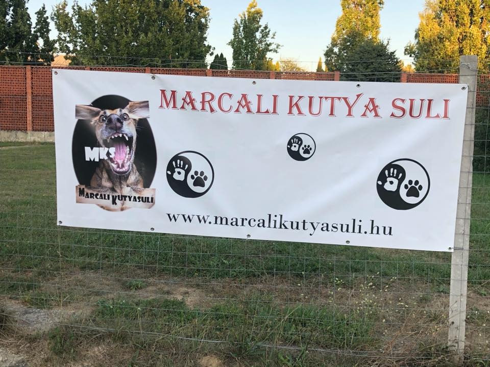 Marcali kutyasuli