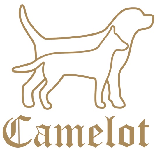 Camelot Kutyás Sport Egyesület