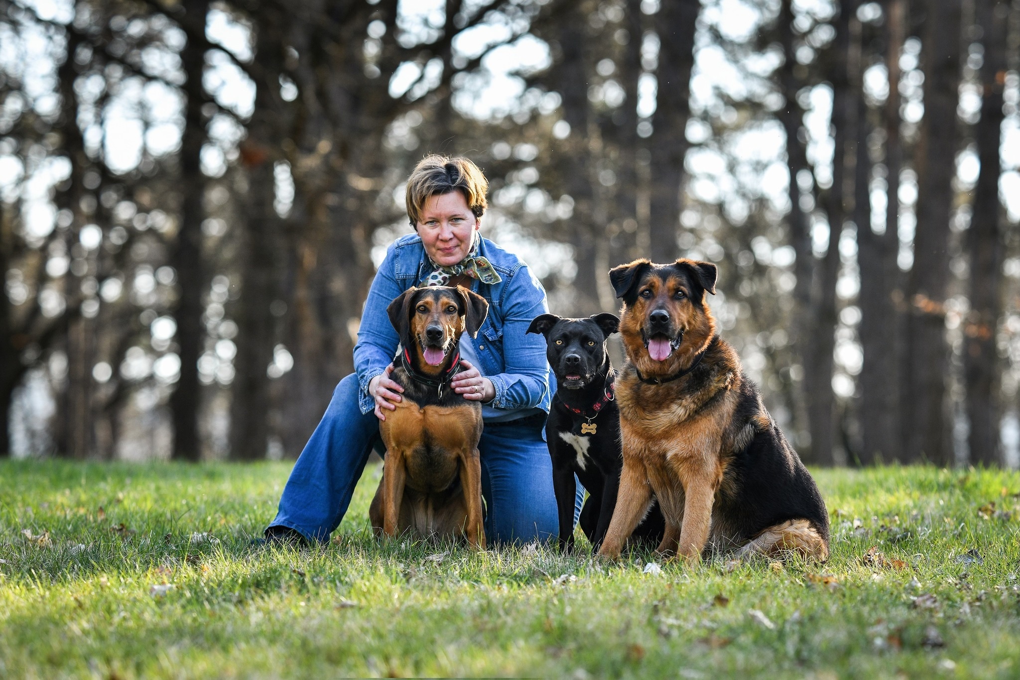 Happy Dog Kutya-Gazdi Képző