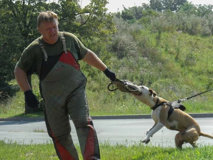 Kutyatanoda Szombathely