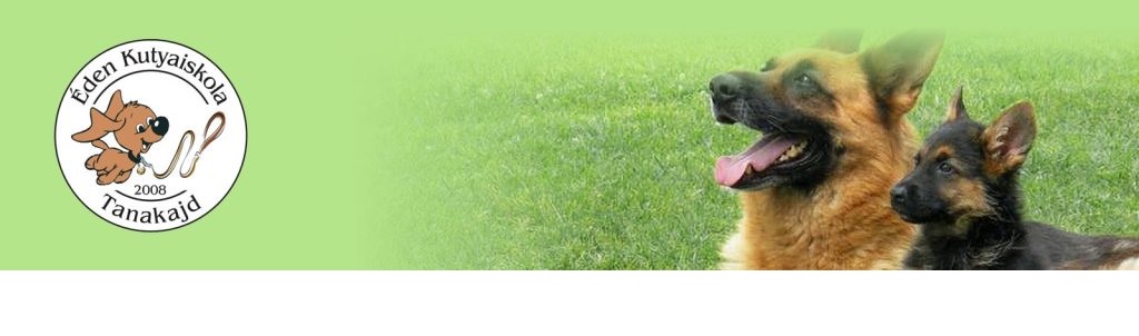 Éden kutyaiskola és Panzió