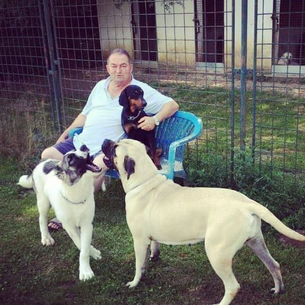 Univerzum Kutyakiképző Iskola és Panzió