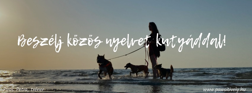 Piros Petra Dog Training