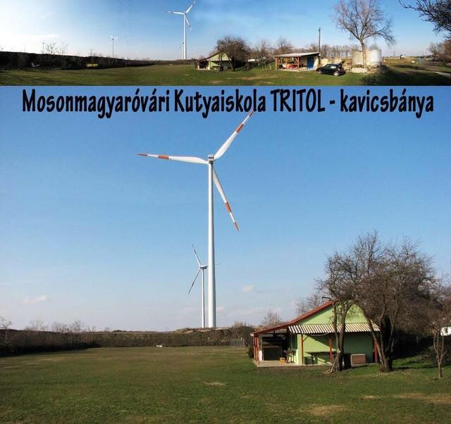 Mosonmagyarovari kutyaiskola