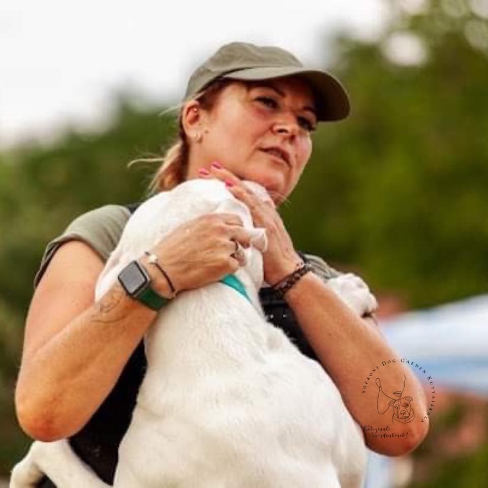 Dog Garden kutyaiskola