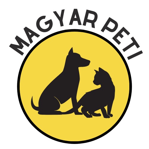 Koroncói kutyaiskola