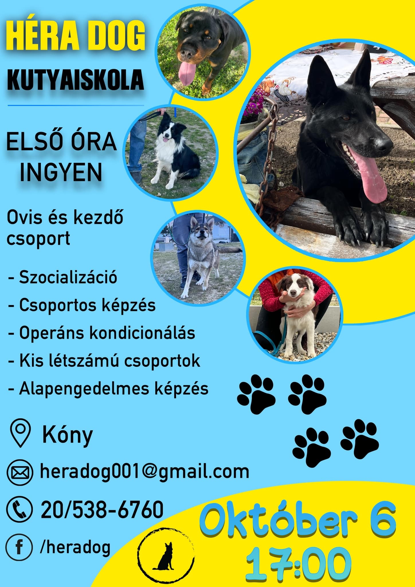 Héra Dog kutyaiskola