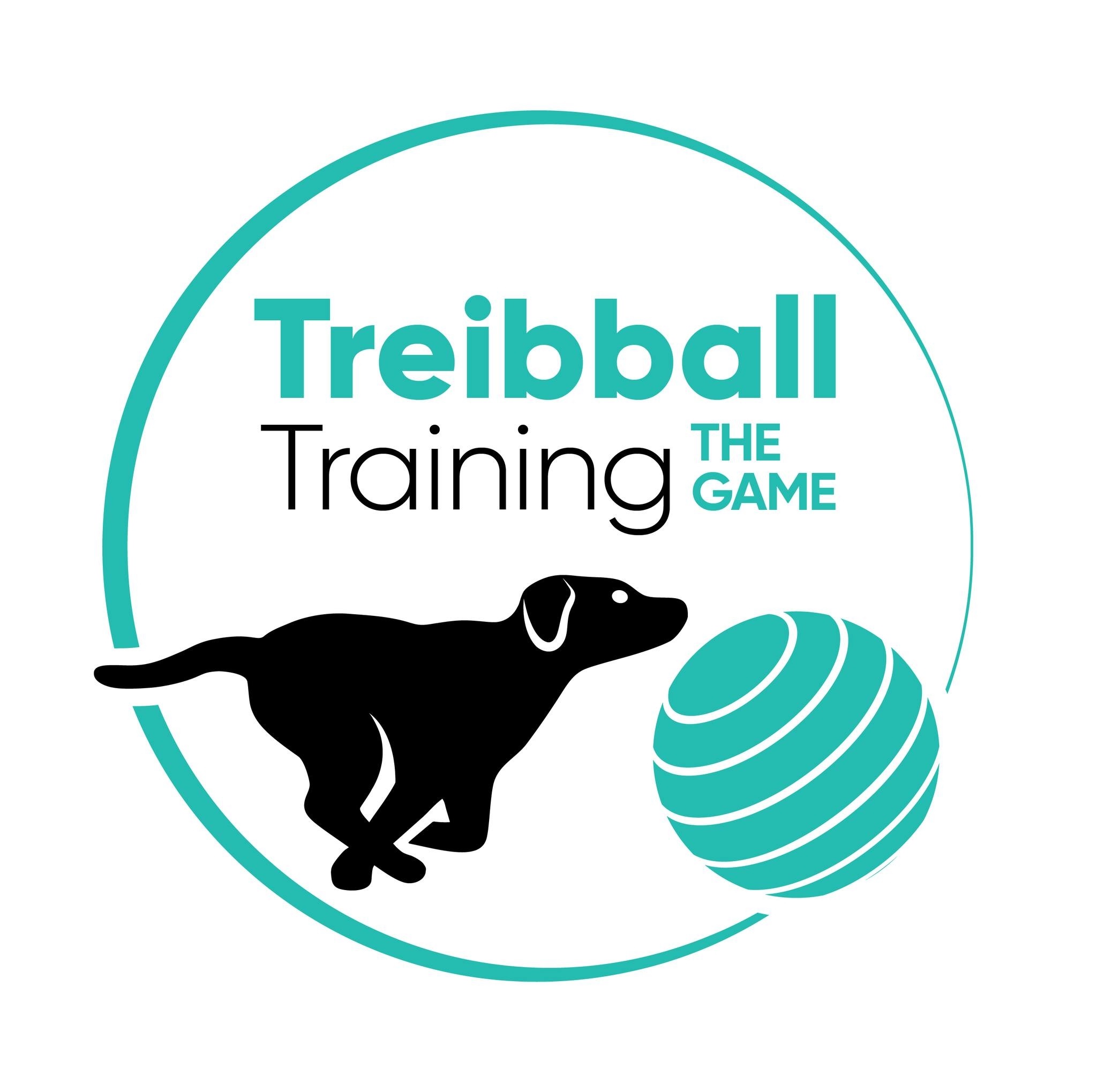 Treibball Training