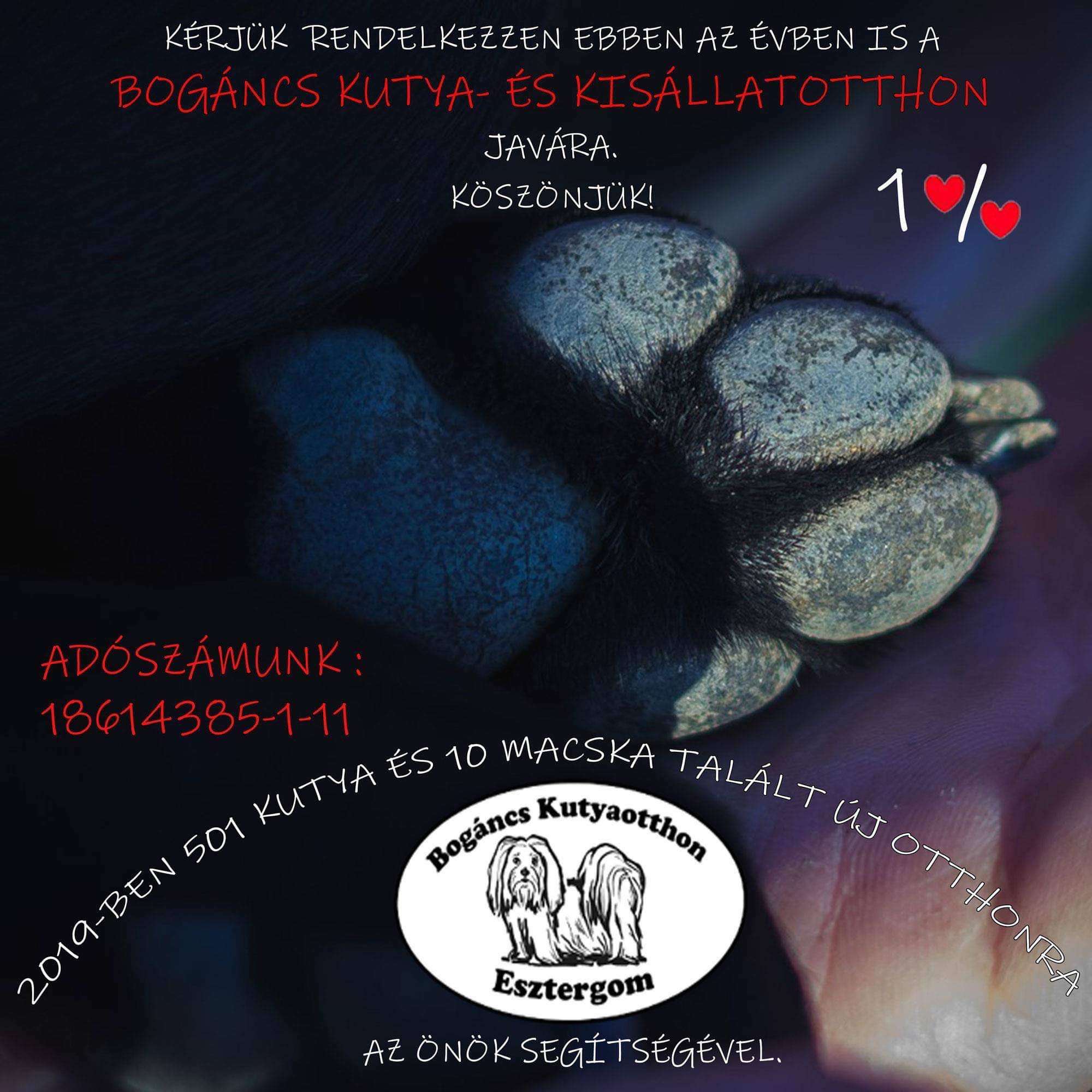 Bogáncs Kutyaiskola