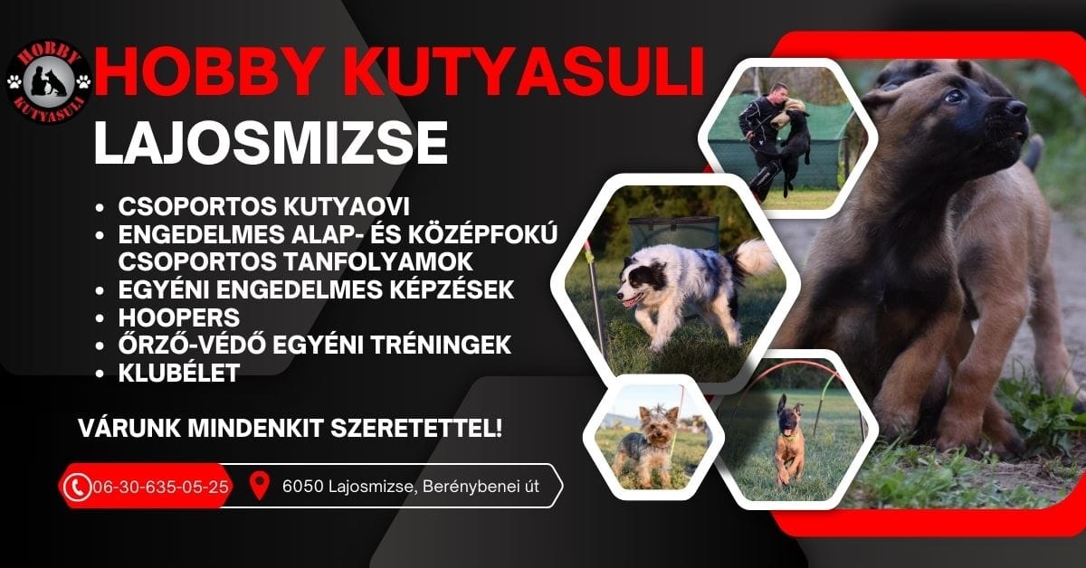 Hobby Kutyasuli Lajosmizse