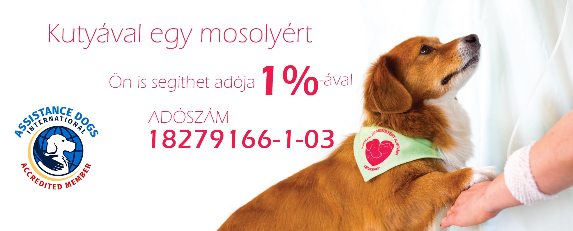 Kutyával egy mosolyért Alapítvány