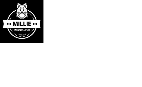 Millie Dog - Családi Kutya Szakértő