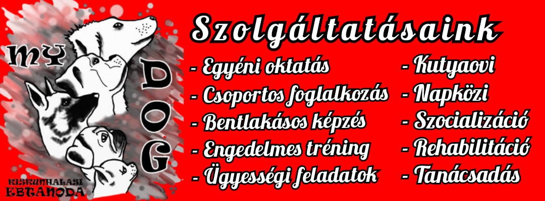 MyDog Kiskunhalasi Ebtanoda