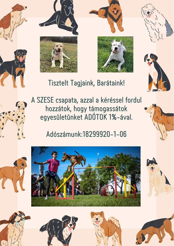 Szentesi Kutyaiskola