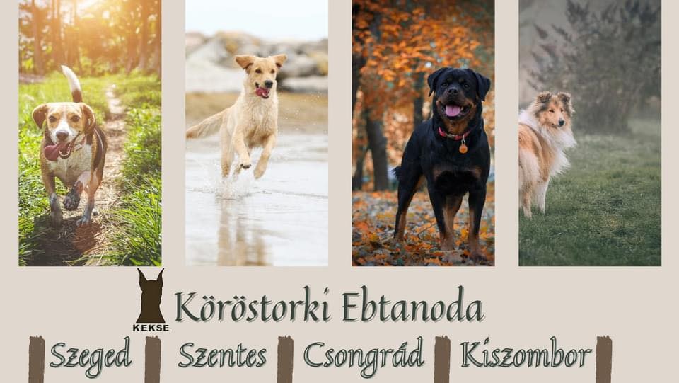 Köröstorki Ebtanoda