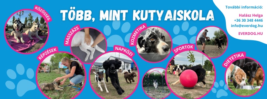 EverDog Kutyaközpont