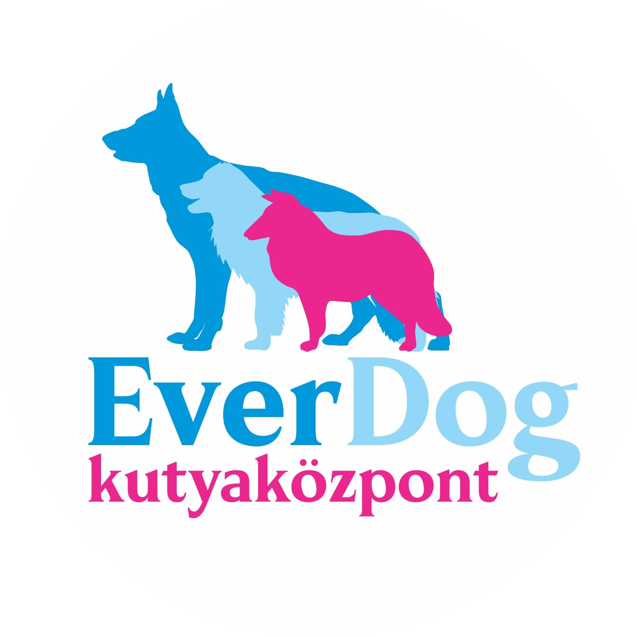 EverDog Kutyaközpont