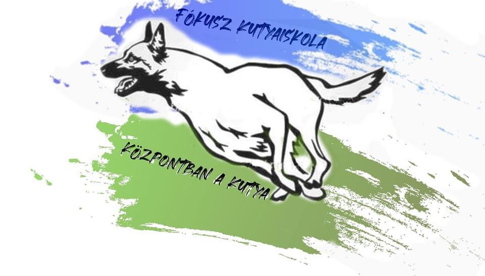 Fókusz Kutyaiskola