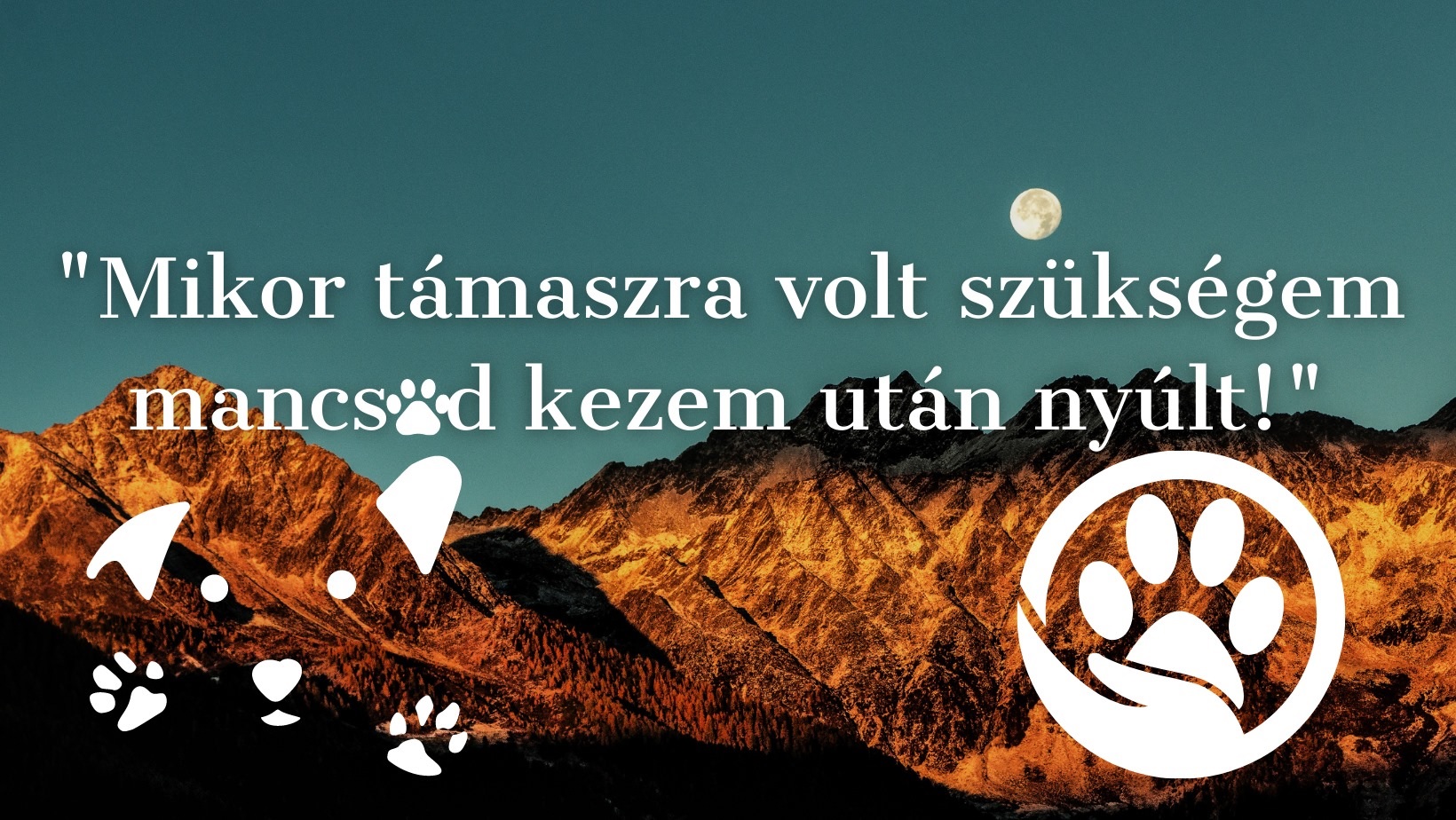 SzuperMancs kutyaiskola