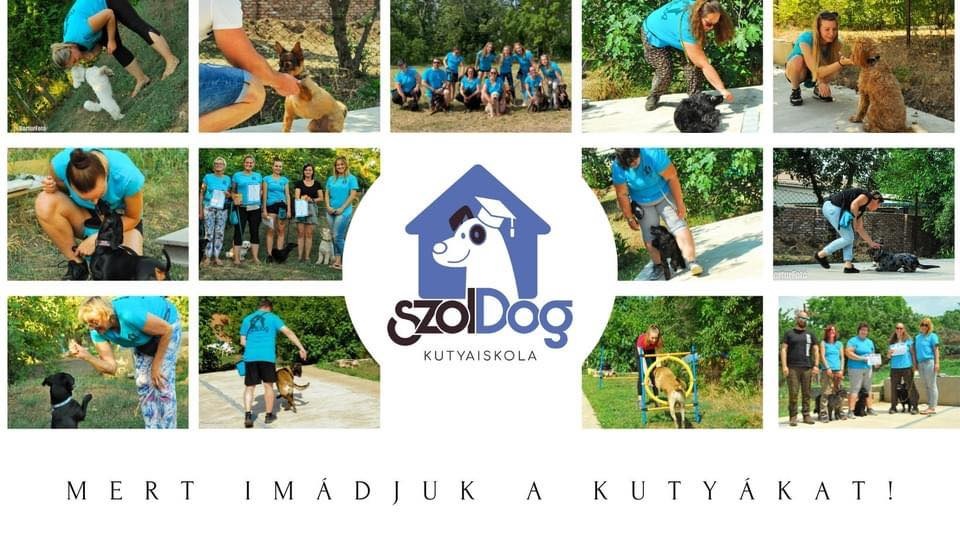 SzolDog Kutyaiskola