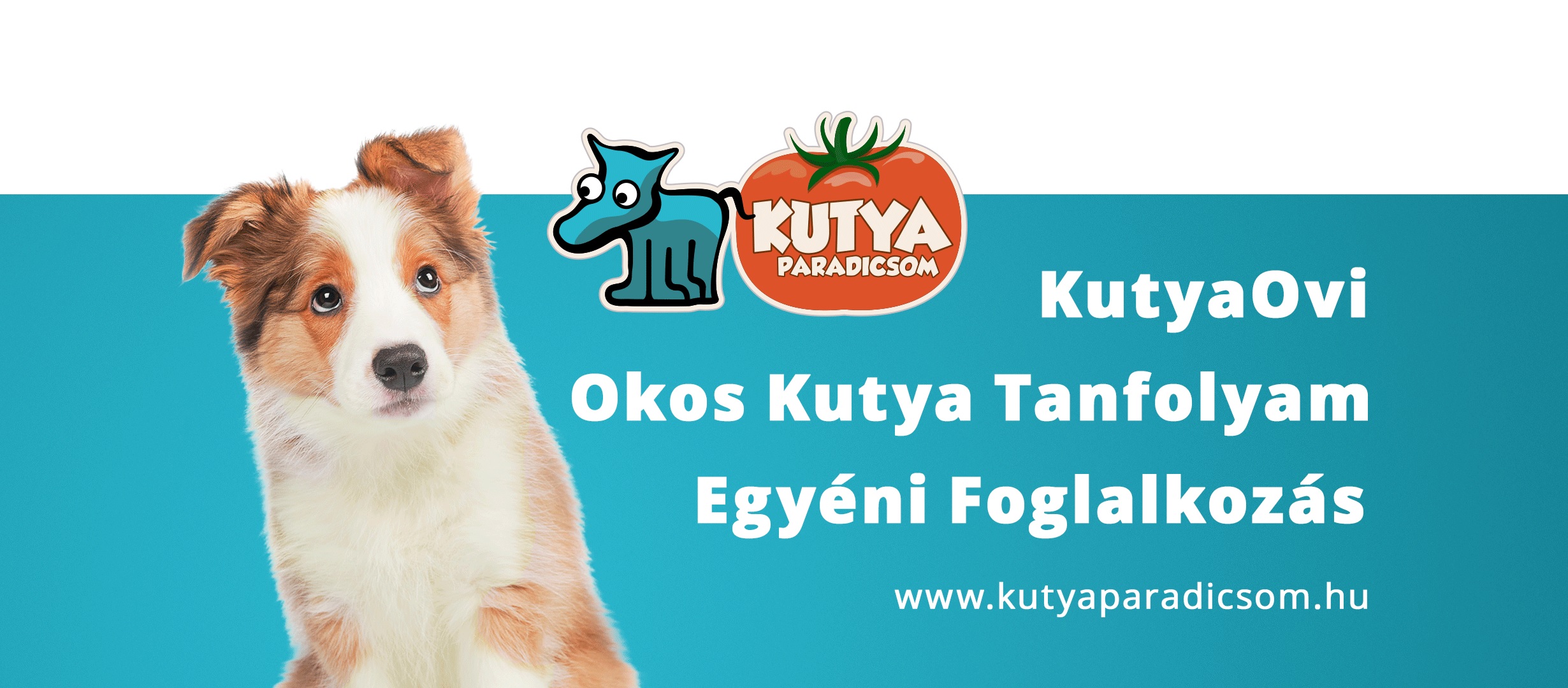 Kutyaparadicsom Kutyaiskola