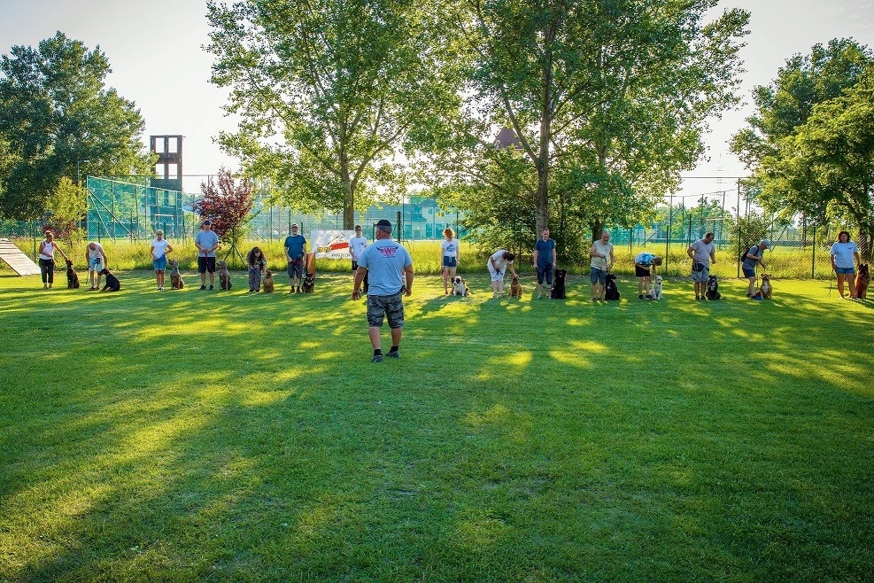 Szigetszentmiklósi Kutyaiskola