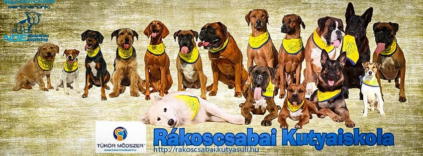 Rákoscsabai Kutyaiskola