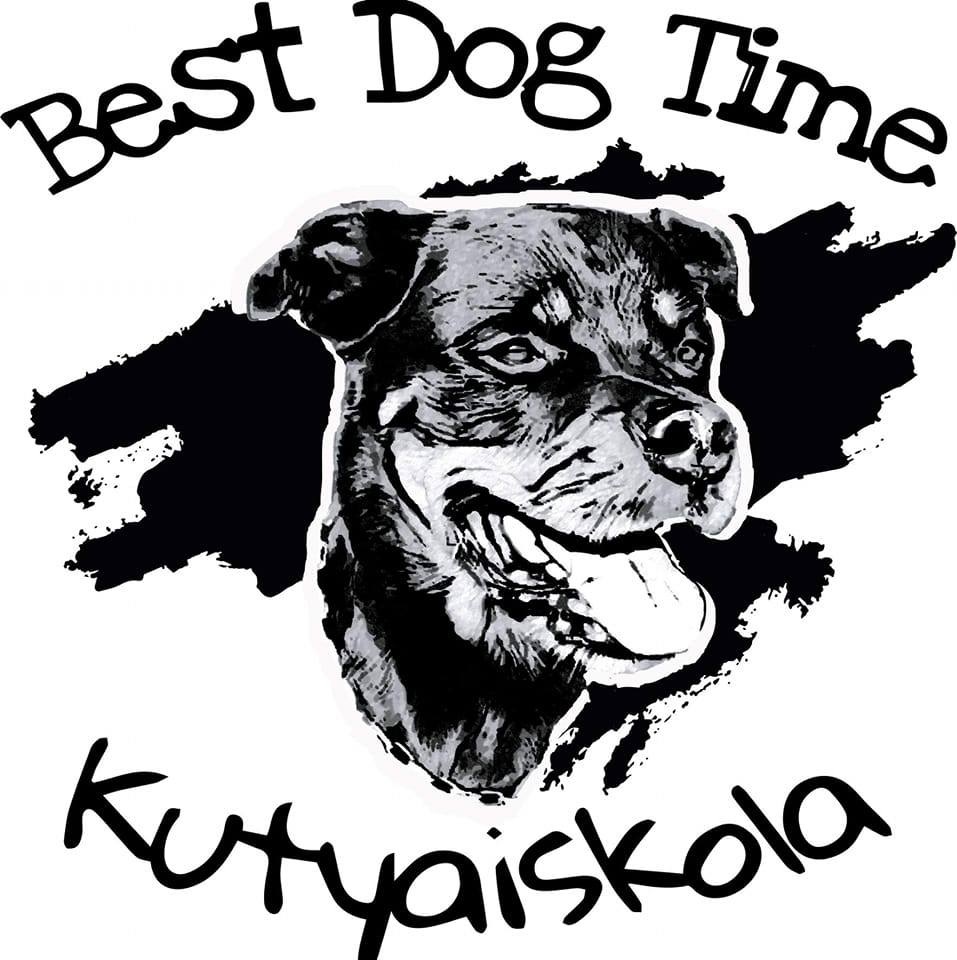 Best Dog Time Kutyaiskola