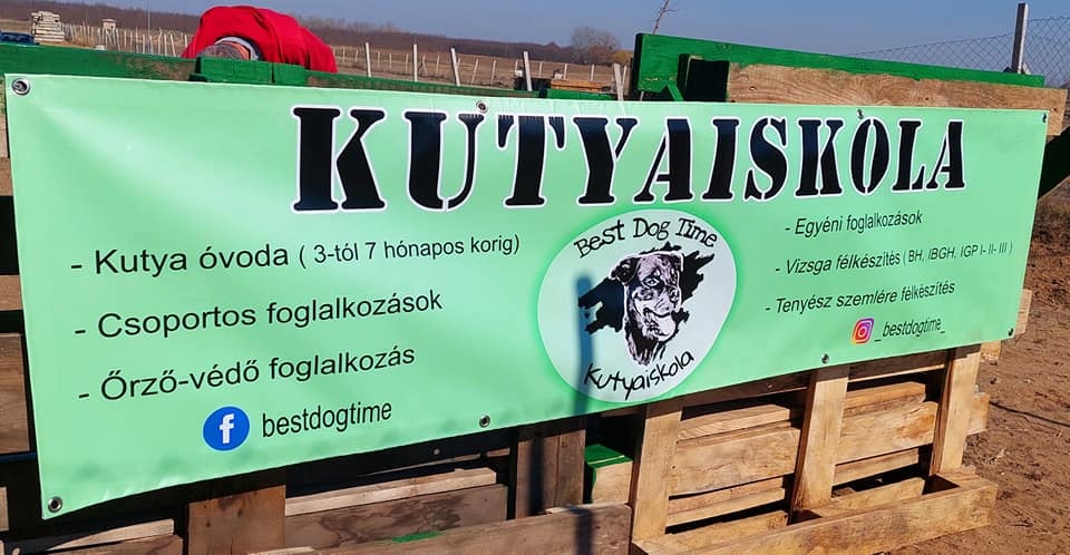 Best Dog Time Kutyaiskola