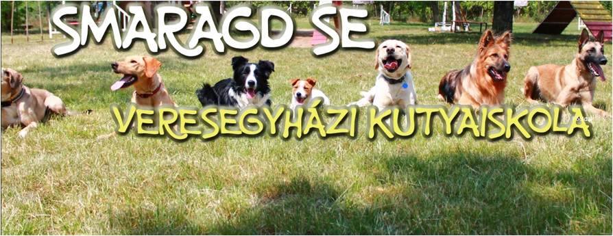 Smaragd SE - Veresegyházi Kutyaiskola