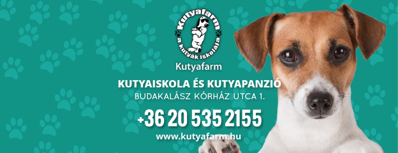 Kutyafarm kutyaiskola és kutyapanzió